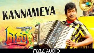 Kannameya Vittiya | Full Audio | Eli | Vadivelu | Sada | Vidyasagar | Viveka | Yuvaraj Dhayalan