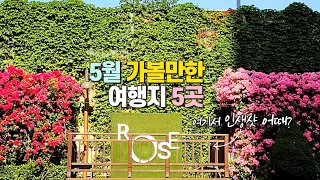 5월 가볼만한 여행지 5곳