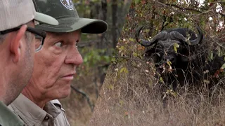 "BE READY, BE VERY READY" Cape Buffalo hunt Zimbabwe