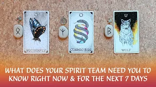 😇⌛WHAT DOES SPIRIT NEED YOU TO KNOW RIGHT NOW & IN THE NEXT 7 DAYS⌛😇⌛Weekly Pick-A-Card Guidance⌛🌗🙏😇