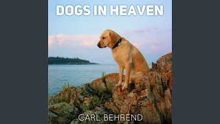 Dogs in Heaven