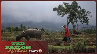 Kalagayan sa Bulkang Kanlaon, alamin kay DOST Sec. Solidum | #TedFailonandDJChaCha