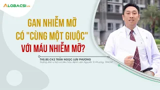 Gan nhiễm mỡ có "cùng một giuộc" với máu nhiễm mỡ?