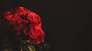 Jony - Небесные Розы (Dankan remix)