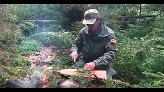 Cooking in the wild. Nature sounds and delicious food