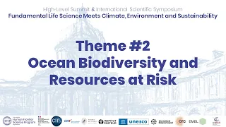 Building Bridges: open discussion theme 2: Ocean Biodiversity and Resources at Risk