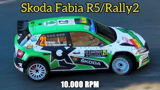 Skoda Fabia R5/Rally 2 Tribute | Pure Sound, Flat Out, Mistake, Maximum Attack | 10.000 RPM