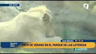 Así es la dieta de verano de los animales del Parque de las Leyendas