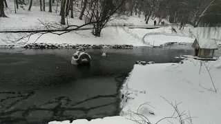 Стрийський парк.  Львів 7.02.2021