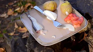 Surströmming -- How to Eat Properly (with some ingredient substitutions)