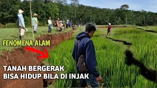 HEBOH !! FENOMENA ALAM TAK LAZIM DI JOMBANG Ditemukan Tanah Hidup Bisa Menelan Manusia