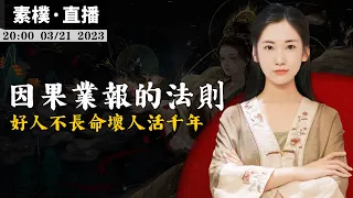 好人不長命，壞人活千年！因果業報真的公平嗎？【無有淺談 | 素樸 | 直播】2023-03-21