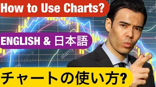 チャートの使い方/How To Use Charts?【English&日本語】