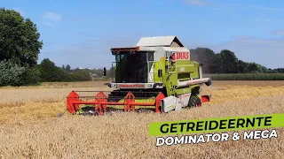 Grain Harvest with CLAAS Dominator 108 SL and CLAAS Mega 208