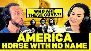 HORSES AND HARMONIES? First Time Hearing America - A Horse with No Name Reaction