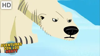Criaturas árticas | Osos polares, moras + más! [episodios completos] Aventuras con los Kratt