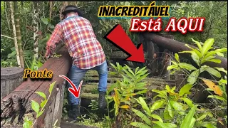 Veja um lugar secreto com muito mistério e muitos achados incríveis no lugar (Jack charles) DETECTOR