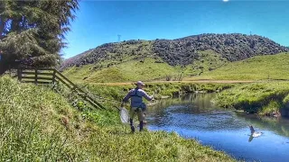 Fly Fishing TINY STREAM for BIG BROWN Trout [Dry Fly Eats]