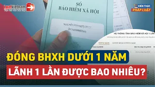 Tính Nhanh: Đóng BHXH Dưới 1 Năm Lãnh 1 Lần Được Bao Nhiêu? |  LuatVietnam