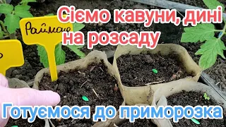 18 квітня. Сіємо розсаду кавунів, дині. Висадила цибулю Ексібішен, посіяли Агресора.