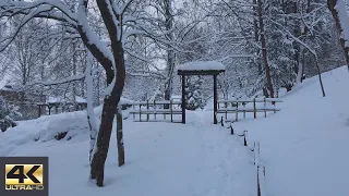 【4K】Snowy day stroll from Laajasalo to Japanese inspired garden, Helsinki