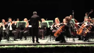 Dmitri Shostakovich Chamber Symphony C minor Op.110a - Hakan Şensoy