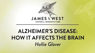 Alzheimer's Disease: How it Affects the Brain