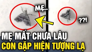 Mẹ mất chưa lâu, con gái thấy BƯỚM BAY VÀO NHÀ liền 'HỎI 1 CÂU' khiến ai nấy giật mình | Tin 3 Phút