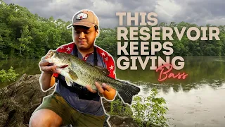 Fishing Near Cover for Bass in Big Flooded Reservoir (Triadelphia)