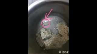 found insect in maggi noodles