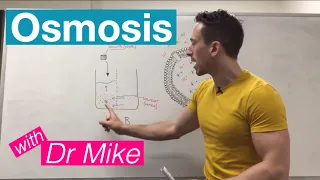 Osmosis | Membrane Transport