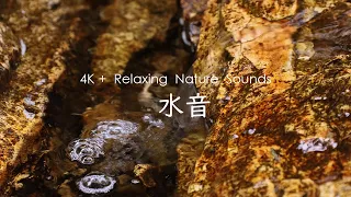 【4K高精細＋自然環境音】優しく流れる水の音 - 静かな水音 - リラックス