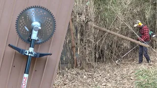 Removing Bamboo | First Time Using a Clearing Saw