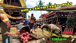 More than 4 tons of buffalo a day - the journey to the afterlife is expensive in Indonesia