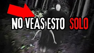 5 ATERRADORES Momentos Captados En El Bosque