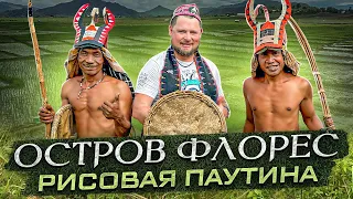 Флорес. Остров с самыми уникальными рисовыми полями-паутинами #shortsvideo #travel #trip #nature