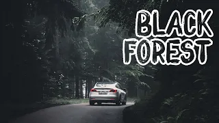 BLACK FOREST roadtrip in our Tesla Model 3 PERFORMANCE