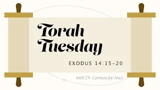 Torah Tuesday - Exodus 14:15-20