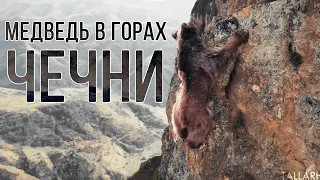 Медведь который умеет лазить по скалам в горах Чечни