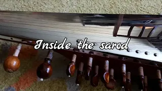 Inside the sarod