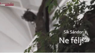 Sík Sandor:Ne félj