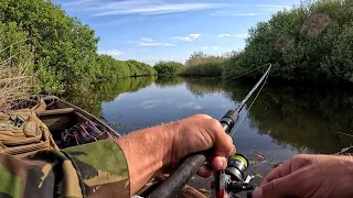 Ранкова риболовля на Стохіді: Відео зі спінінгом