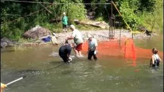 Bowmanville Creek Salmon Crossing 2012