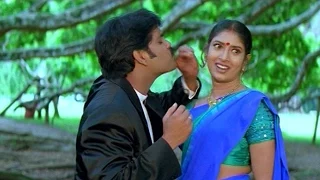 Seetaramaraju Movie || Srivaru Doragaru Video Song || Nagarjuna,Sanghavi