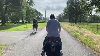 Our Mammoth Donkey Ride