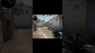 МУХА ЭТО МАЛЕНЬКАЯ ПТИЧКА CS:GO