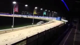 Romford Dogs