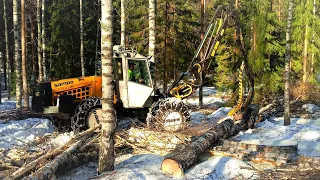 Sampo-Rosenlew 1046 työstää isoja koivuja!🌳🌳💪🏻