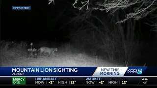 Iowa DNR confirms mountain lion sighting in Ankeny