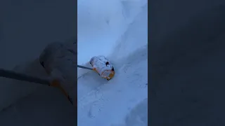 Снеголопата DEKO ST1500 (снег 17 см)